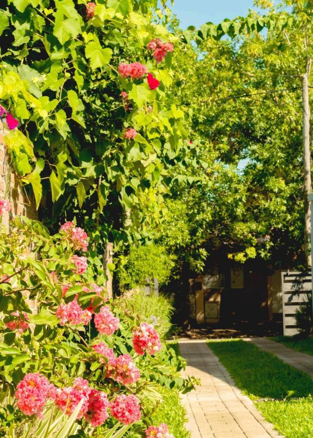 Apartmán Vina Villa Elisa  Exteriér fotografie